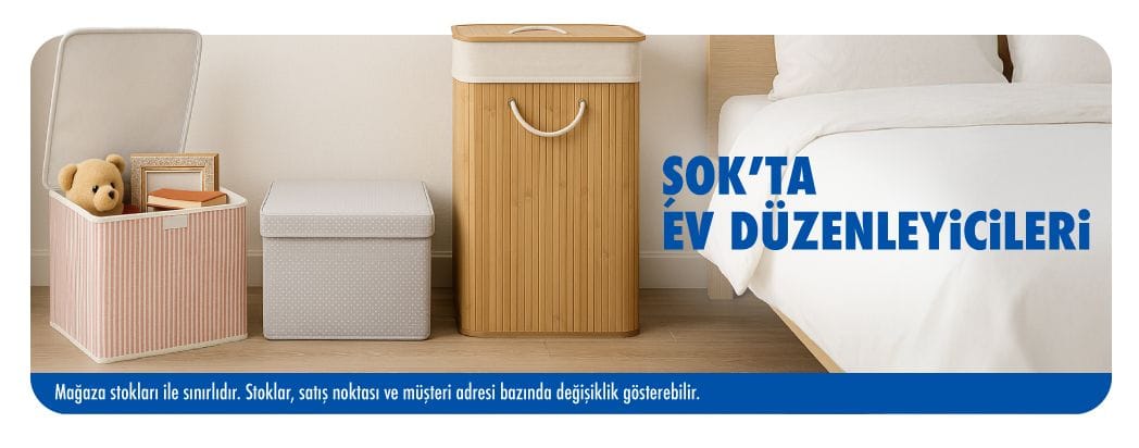 ev düzenleyicileri