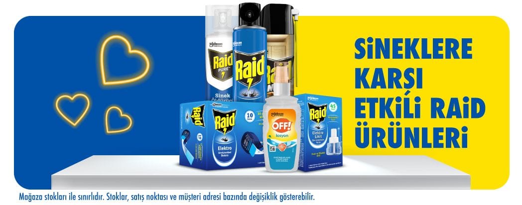 raid