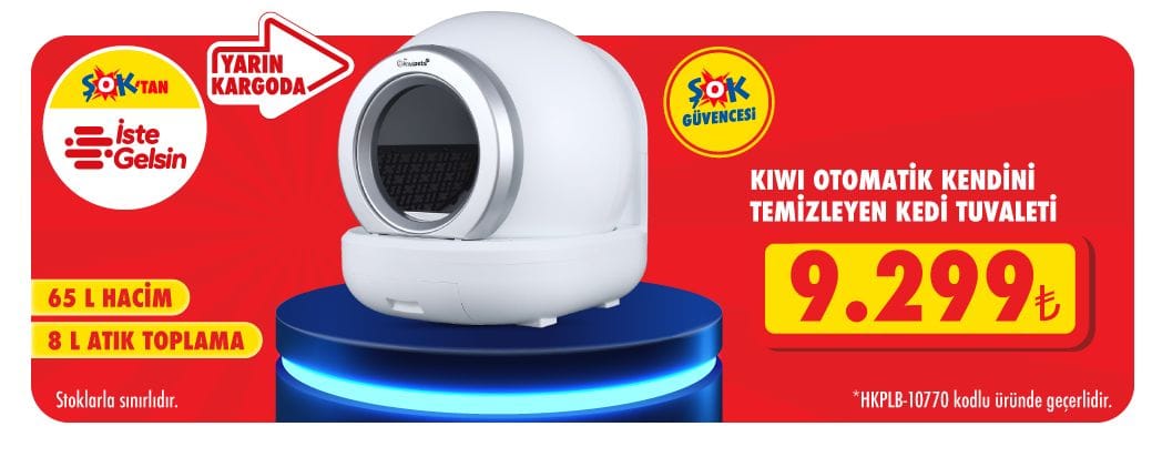 Kiwi Kedi