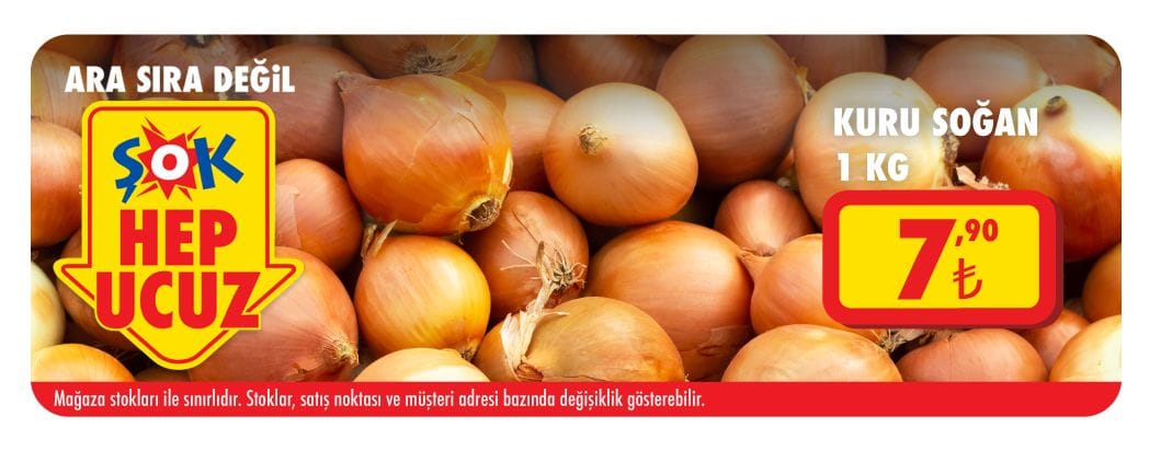 soğan