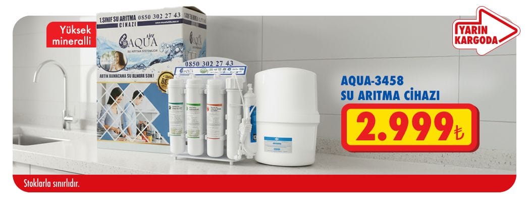 Arıtıcı