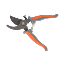 Monique Budama Makası