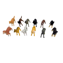 Gokidy 5 İnç Patili Dostlarımız