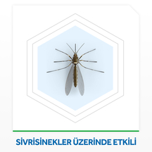 https://images.ceptesok.com/cdn-cgi/image/width=216,height=216,fit=pad,quality=100,format=webp/product-assets/sub-folder/ed5428ef-bc22-44e4-867a-81b48883c1a8.jpg