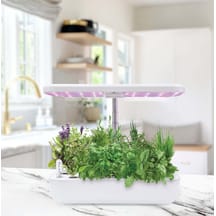 https://images.ceptesok.com/cdn-cgi/image/width=216,height=216,fit=pad,quality=80,format=webp/product-assets/sub-folder/33c3e1ff-8634-49ad-9dbf-ff16ec6482c2.png
