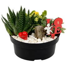https://images.ceptesok.com/cdn-cgi/image/width=216,height=216,fit=pad,quality=80,format=webp/product-assets/sub-folder/5a993807-f34a-4d30-836a-20eae6b3a54c.png