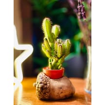 https://images.ceptesok.com/cdn-cgi/image/width=216,height=216,fit=pad,quality=80,format=webp/product-assets/sub-folder/677a66b0-70ad-4583-a7d5-ee747de4dac7.png
