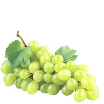 https://images.ceptesok.com/cdn-cgi/image/width=216,height=216,fit=pad,quality=80,format=webp/product-assets/sub-folder/7324fac5-6b56-4760-9ded-c1a9e394d839.png
