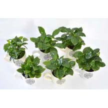 https://images.ceptesok.com/cdn-cgi/image/width=216,height=216,fit=pad,quality=80,format=webp/product-assets/sub-folder/e7e92a71-cfd9-4d08-9f00-03e7a9f54ee8.jpg