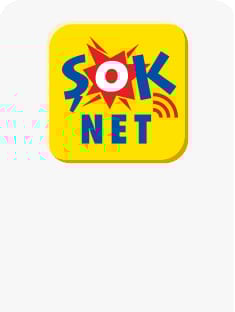 Ev İnterneti